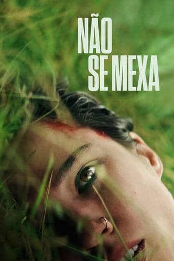 Não Se Mexa (2024) Dual Áudio 5.1 WEB-DL 1080p